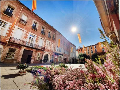 Économie : Quelle est l'activité économique dominante à Perpignan ?