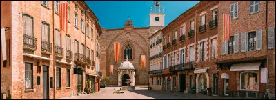 Histoire : Durant quel siècle débute l'histoire de Perpignan ?