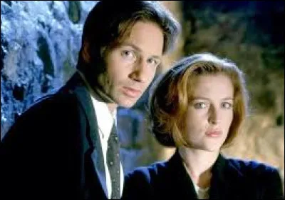 Dans la série X-Files, l'actrice Gillian Anderson tombe enceinte dans la vraie vie dès la seconde saison. Comment les scénaristes vont-ils intégrer la grossesse inattendue dans le déroulé de l'histoire des deux agents du FBI ?