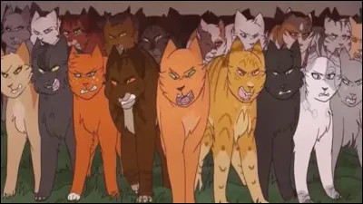 Un clan de Solitaires attaque dans le camp. Que fais-tu ?