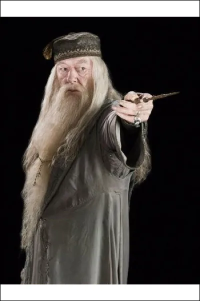 De quel bois est faite la baguette de Dumbledore ?