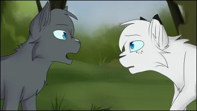 Une fois rentré au camp, vous découvrez une bataille se déroulant sous vos yeux ! Que faites-vous, vous et votre compagnon/compagne ?