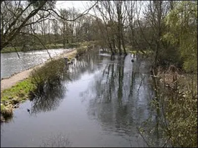 La Conie est une rivière qui coule dans le département du Loiret.