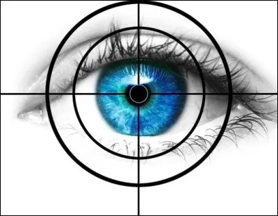 Il y a un mot mal orthographié dans l'expression "avoir quelqu'un dans le colimateur".