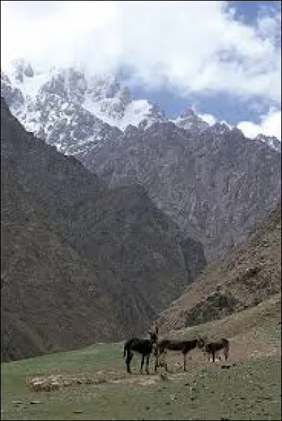 La cordillère de Kunlun est une chaîne de hautes montagnes en Chine.
