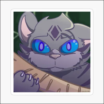 Quel est le pouvoir d'il de Geai ?