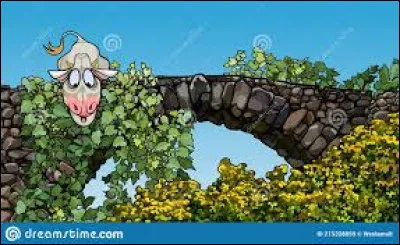 Désespoir profond sur le Pont sur la Garonne...