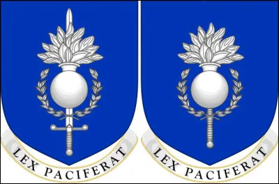 Beau travail ! Dans le monde entier, d'autres organismes et forces spéciales annoncent s'intéresser à l'initiative : ci-dessus, un projet de changement d'insigne pour une unité "SWAP" du/de la...