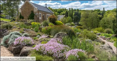 Économie : dans quel secteur la ville de Nancy est-elle réputée ?