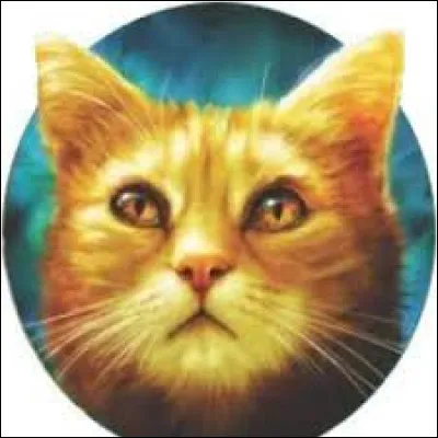 Dans LGDC, ton pelage ressemblerai à...