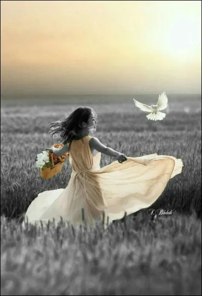 À quelle grande écrivaine féministe doit-on le roman "Ainsi soit-elle" ?