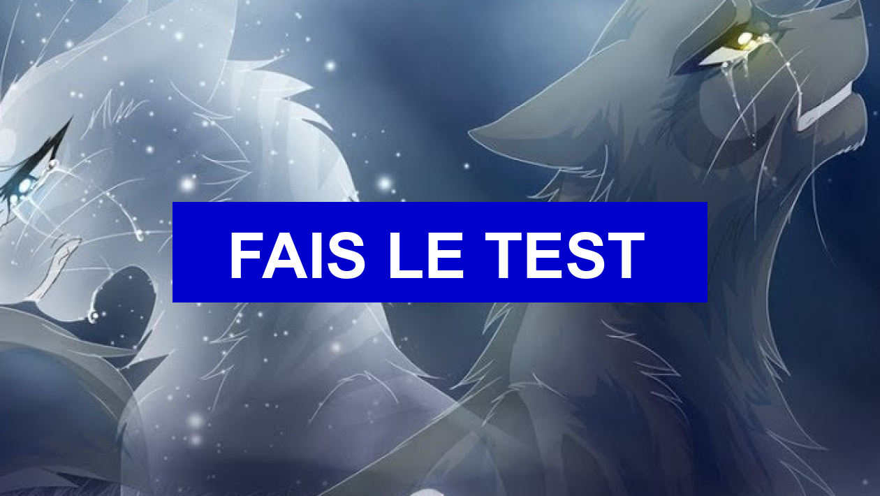 Quiz Tests de personnalit
