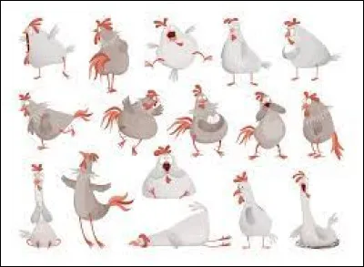 Chargement de coqs !