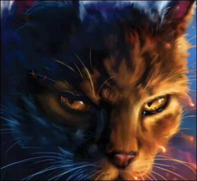 Qui est Griffe de Tigre ?