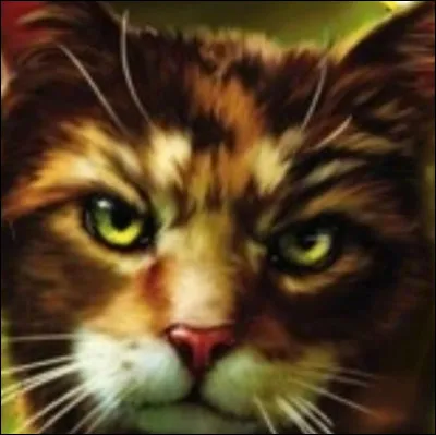 Qui est Petite Feuille ?