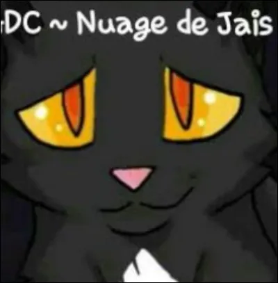 Nuage de Jais s'est alors enfui car il courrait un grand danger. Où est-il allé ?