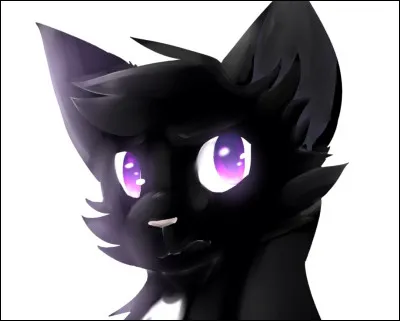 Et comment s'appellent ses 2 meilleurs amis ?