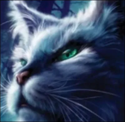 Il y a un chef dans chaque clan. Comment s'appelle celui du Tonnerre ?