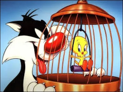 Le petit et bon dernier chez Twitter !