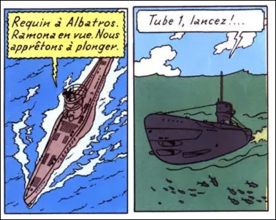 Coke en Stock (2) > Et le fameux "Requin", à quoi ressemble-t-il ?