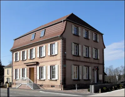 L'étoffe croisée et pelucheuse, de fil et de coton, servant à faire des camisoles, est appelée...