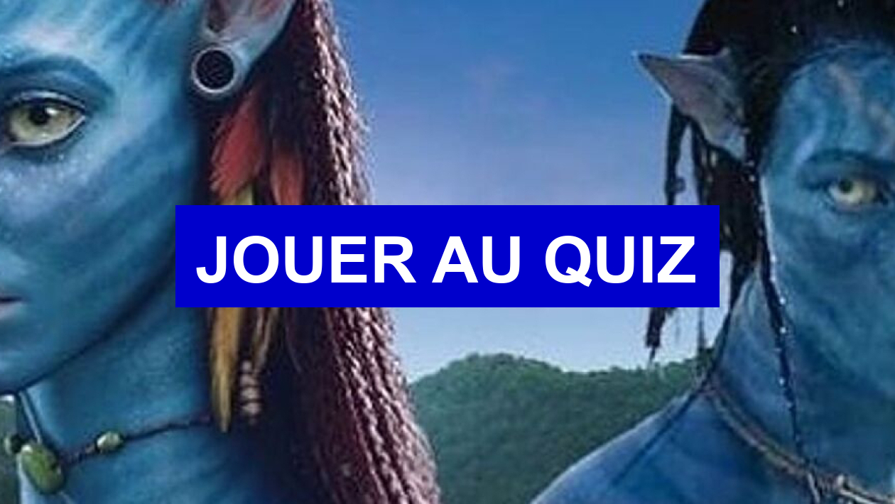Quiz Francais