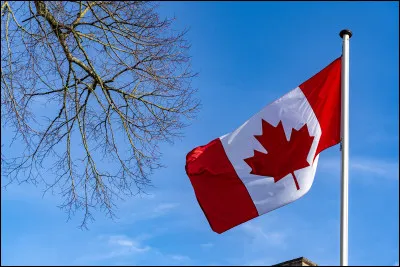 Vrai ou faux : dans la saison 4, Rio demande aux trois filles de fabriquer des dollars américains et de les écouler elles-mêmes au Canada.