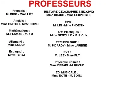 Combien y a-t-il de professeur(e)s ?