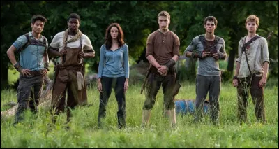 Un de tes amis est blessé, que fais-tu ?