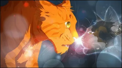 Cela fait trois lunes que tu es guerrier ; ta sur est mère d'un chaton et sappelle maintenant Pétale de Coquelicot. Ta cheffe vient de te nommer lieutenant. Que penses-tu ?