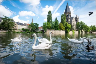 Culture : quel fruit est mis à l'honneur chaque année à Metz lors d'une fête ?