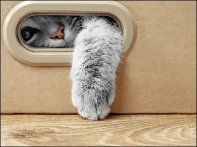 Où te trouves-tu en ce moment ?