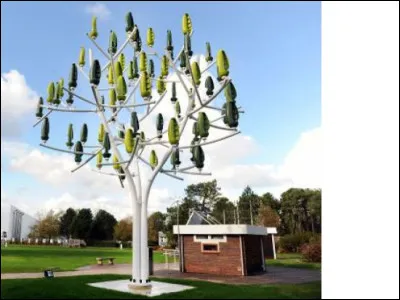 Quel est ton arbre préféré ?