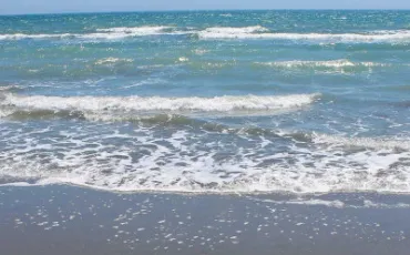 Quiz Test de personnalit�