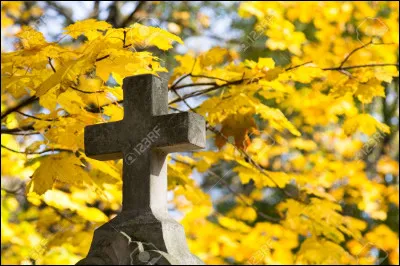 As-tu une religion &agrave; laquelle tu es d&eacute;vou&eacute; ?