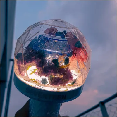 À qui appartient ce lightstick ?