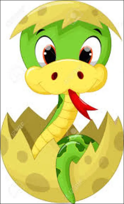 Ce PETIT est parfois un petit très très très fort, pour le plaisir des vrais amateurs