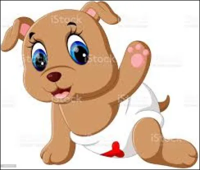 C'est un PETIT brun qui enchante des générations d'enfants