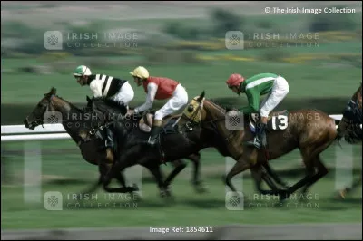 Quelle est votre disipline favorite en équitation ?