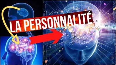 Quelle est votre principale qualité ?