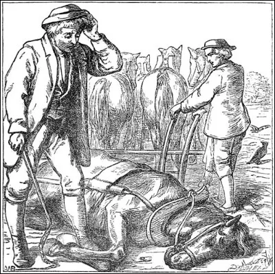 Comment s'appelle ce conte ?