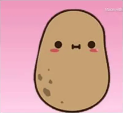 Quand tu tennuies chez toi, que fais-tu ?