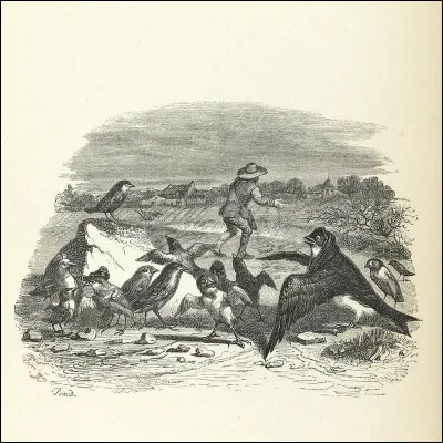 Quelle est cette fable ?