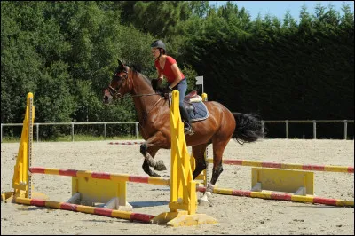 Quel est cet obstacle alors ?