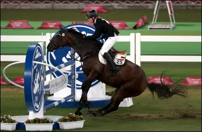 Que fait ce cheval ?