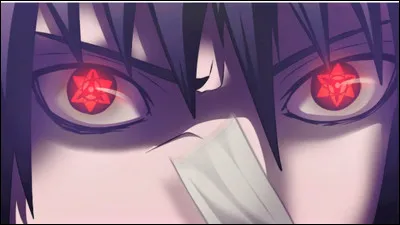 Qui n'est pas amoureuse de Sasuke ?