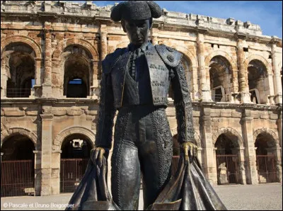 Culture : pour quelle discipline, la ville de Nîmes a-t-elle été la première à fonder une école ?