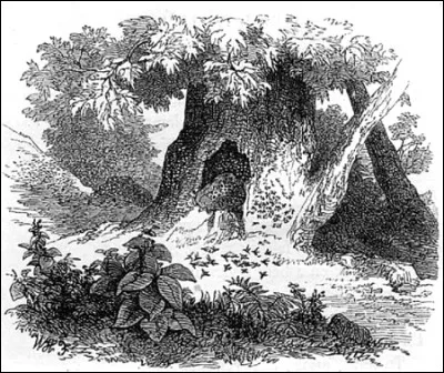 Comment s'appelle cette fable ?