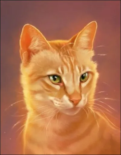 Étoile de Feu est le compagnon de Tempête de Sable.