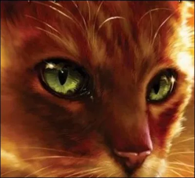 Le meilleur ami d'Étoile de Feu se nomme Poil de Fougère.